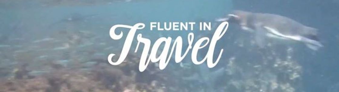 Vision Travel, Waterloo ON