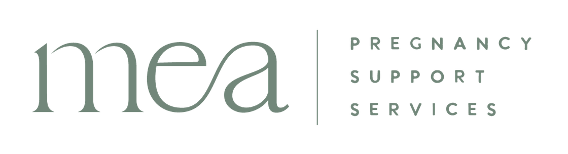 Mea Centre: Pregnancy Support Services, Kingston ON