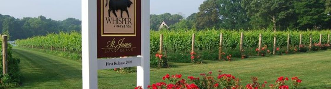 Whisper Vineyards, Saint James NY