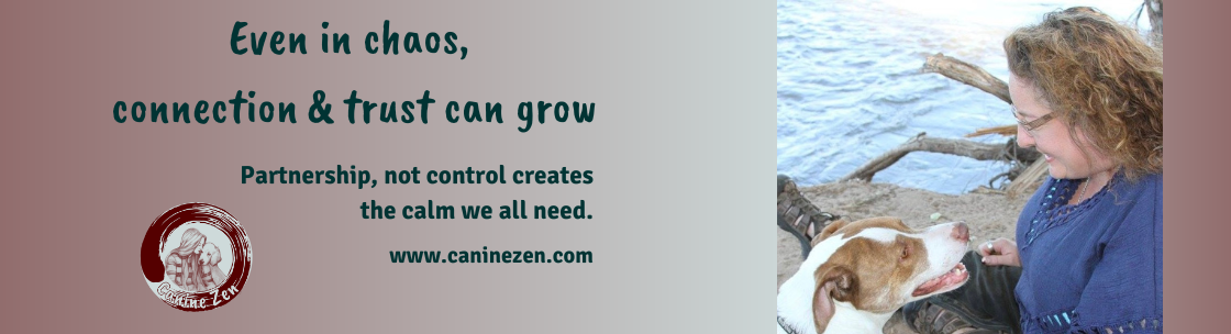 Stephanie Barger | Canine Zen | Virtual Dog Training | Alignable Ambassador, Rio Rancho NM