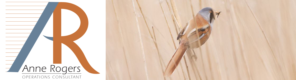 Anne Rogers - Operations Consulting, Florence MA