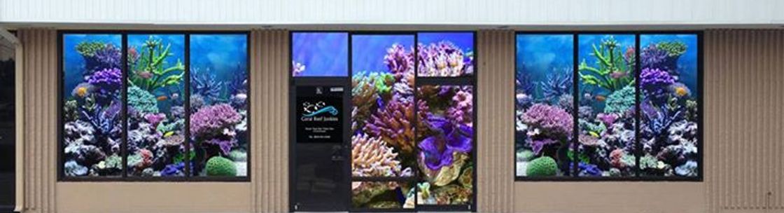 Aquarium Maintenance Service Near Me – DALLAS AQUARIUM EXPERTS