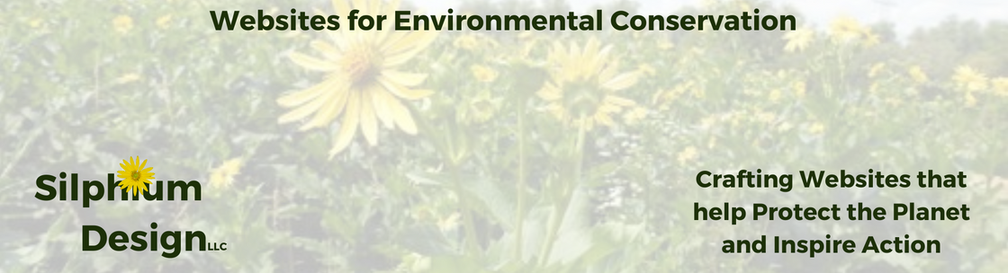 Silphium Design LLC, Titusville PA