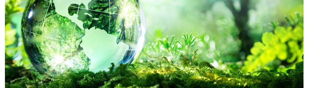 New World Sustainable Living Concepts LLC, Orlando FL