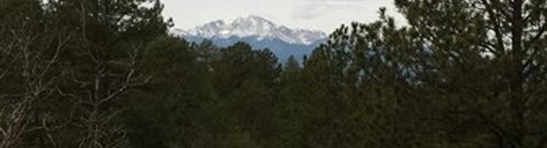 Vital Energy Chiropractic PC, Arvada CO