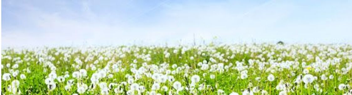 Nurturing Hope Counseling Services, Tamarac FL