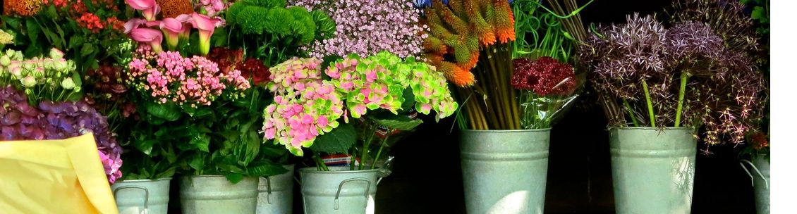 Studio Artiflora, Granville OH