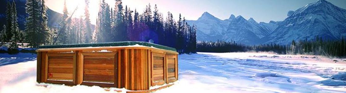 Bliss by Arctic Spas, Colorado Springs CO