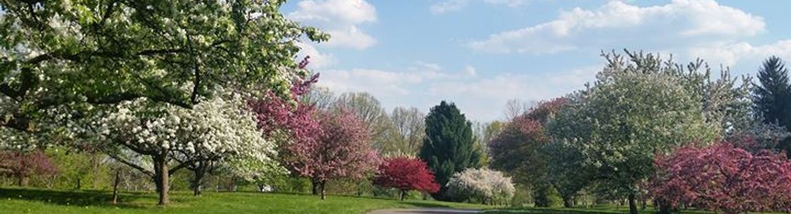 Quality Yard and Home Maintenance, Pataskala OH