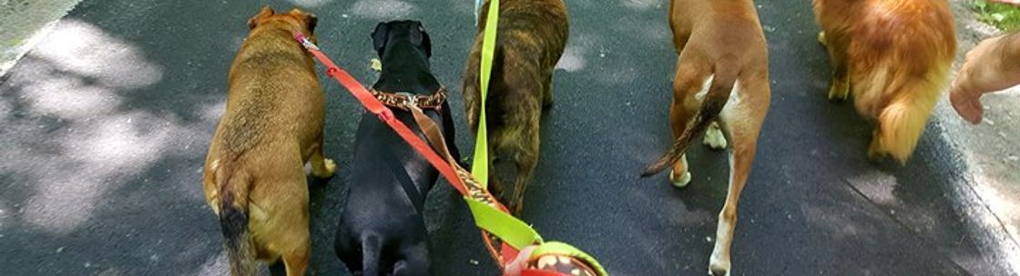 Redleg Pet Services, Loveland OH