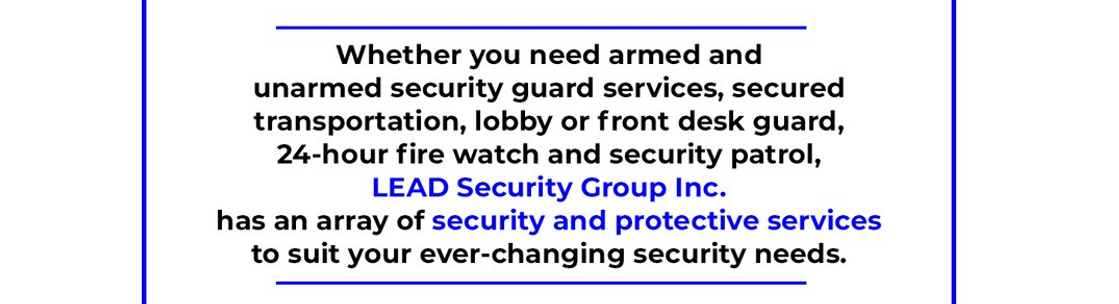 LEAD Security Group Inc, New York NY