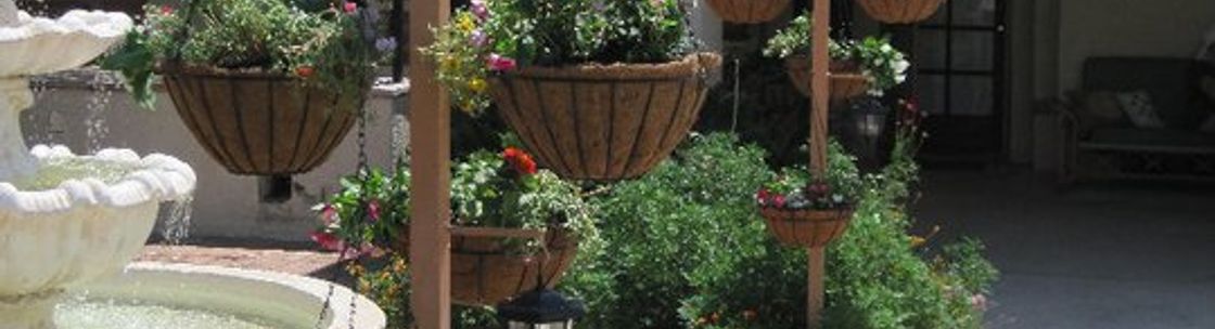 Sweet P's Luxury Organic Skin Care, Tucson AZ