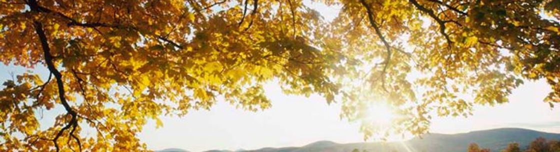 CLH Bookkeeping Services, Coon Rapids MN