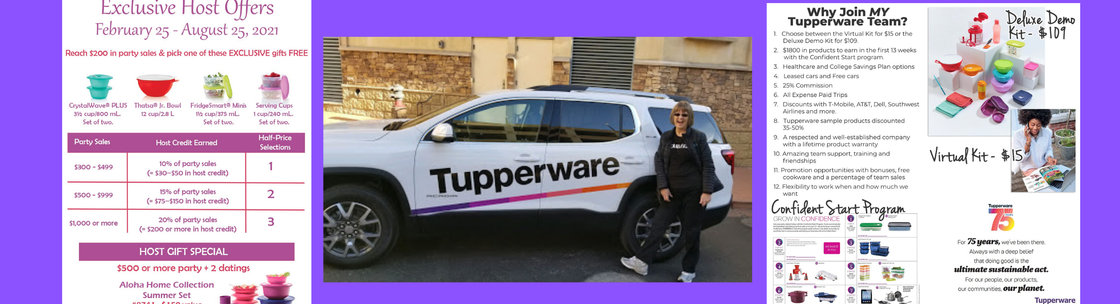 Tupperware by Audra, Sparks NV