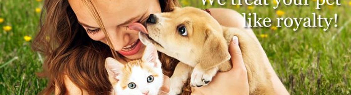 Crystal Mountain Animal Hospital, Austin TX