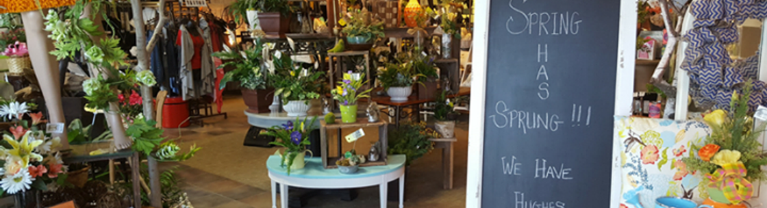 Sterling Gardens Florist And Boutique Neenah Wi Alignable