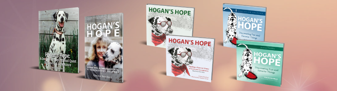 Hogan's Hope by PTL Publishing, Killingworth CT