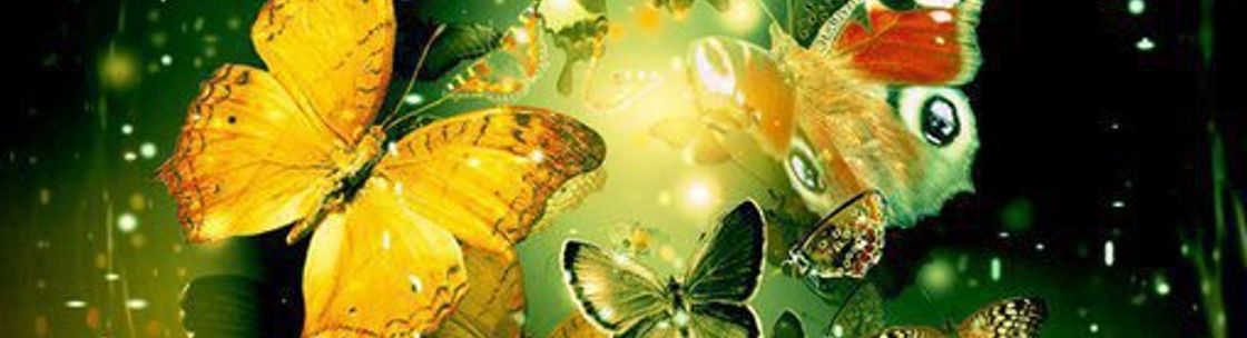 Dr. Cathy Ripley Greene / Psychic Medium, Walpole MA