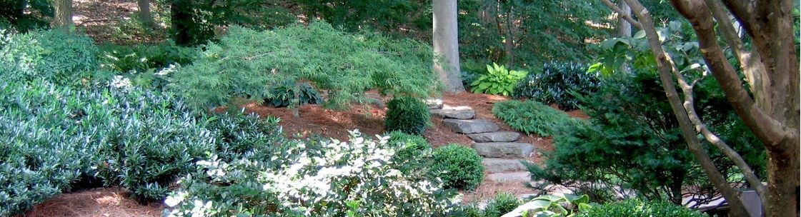 Hanselman Landscape, Manheim PA