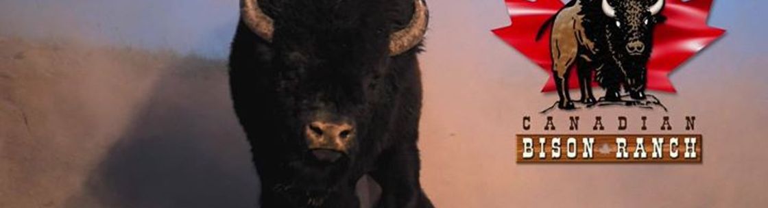Northfork Bison, Saint-Leonard QC