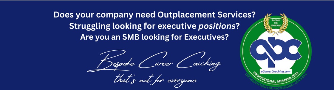 eCareerCoaching.com, Arlington Heights IL