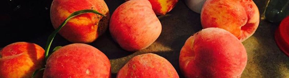 Liz Staller Design, Montgomery IL