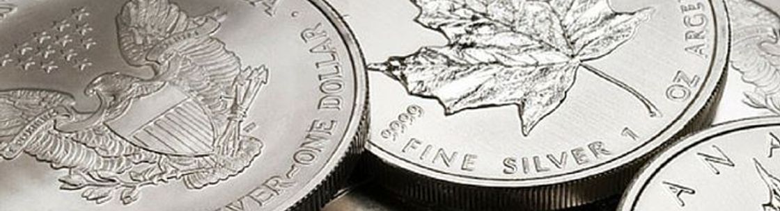 Certified Coin Consultants, Rockville Centre NY