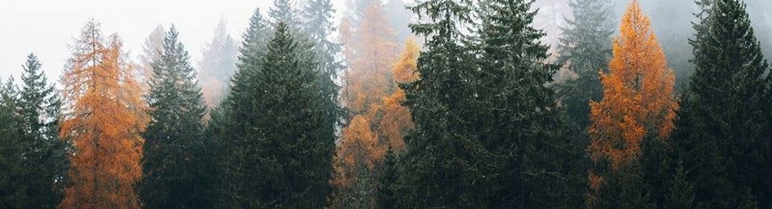 Credit Hut & Services Inc, Millbury MA