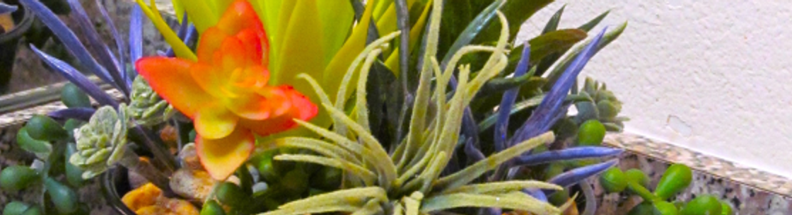 Floral Designs By Alberta, West Palm Beach FL