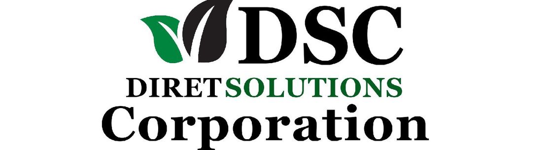 DIRET Solutions Corporation, Orlando FL