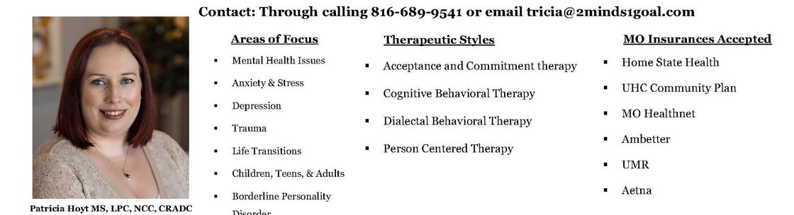 2 Minds 1 Goal Counseling Solutions LLC, SAINT JOSEPH MO
