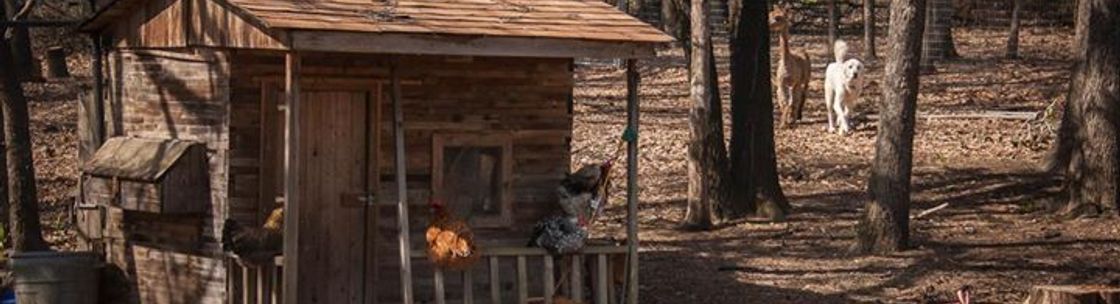 Southlake CritterCare LLC, Southlake TX