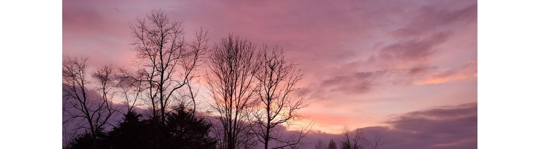 Krista N. Dressell Seibert, Carlisle OH