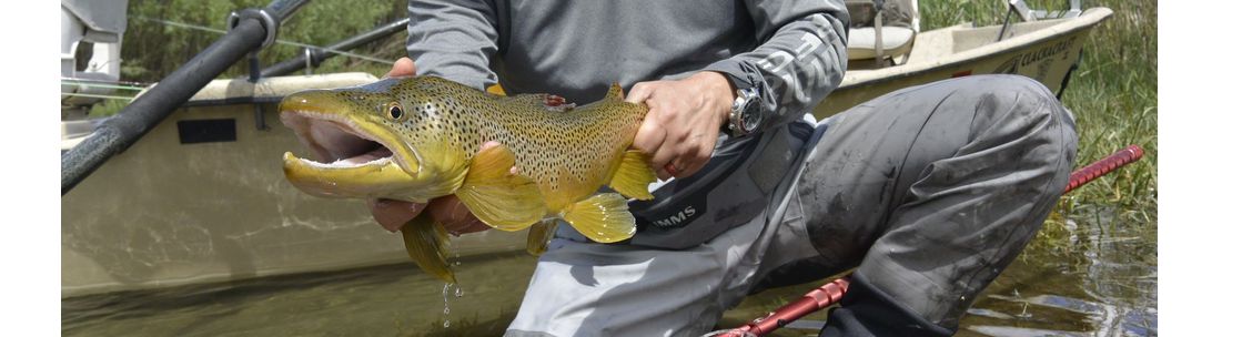 FishTales Outfitting, Sheridan MT