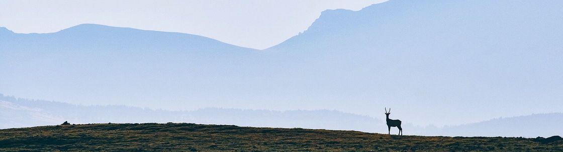 Brent Weber Photography, Black Mountain NC