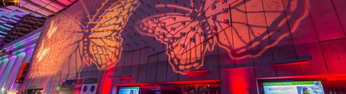 Allegra Entertainment & Events, Burlingame CA