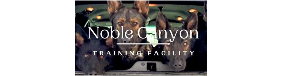 Canyon sales dog training