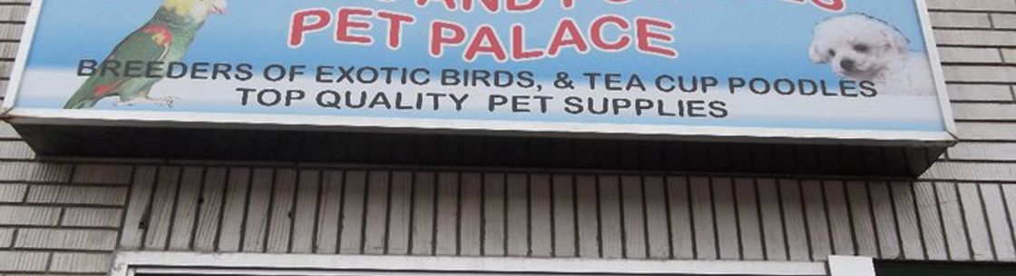 Parrots and hot sale poodles