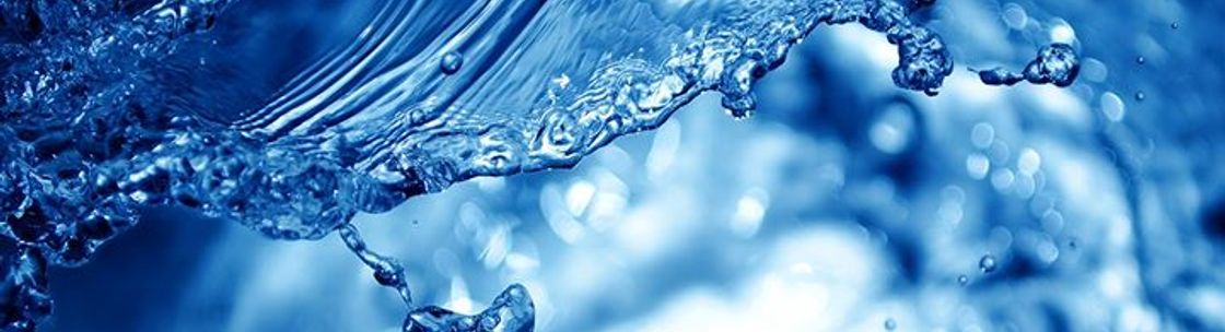 1-800 Water Damage, Virginia Beach VA