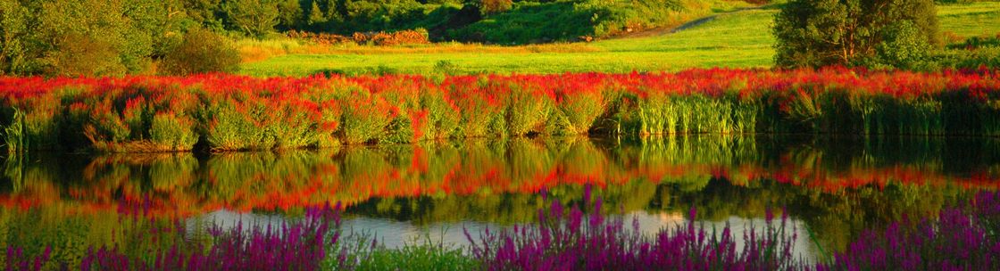 Curt Strickland Photography, Stoughton MA
