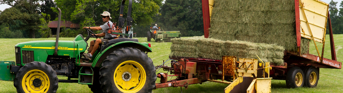 DieselPro, Limestone TN
