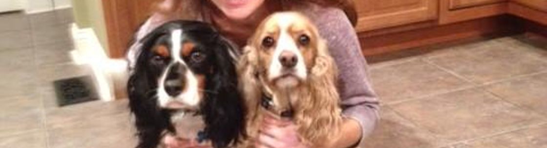 Coexisting Canine Dog Training, Riverhead NY