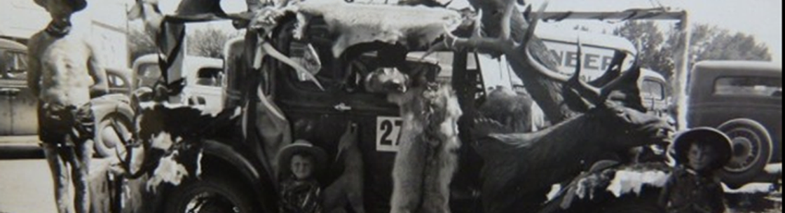 Colorado SEO Expert Marketing, Littleton CO