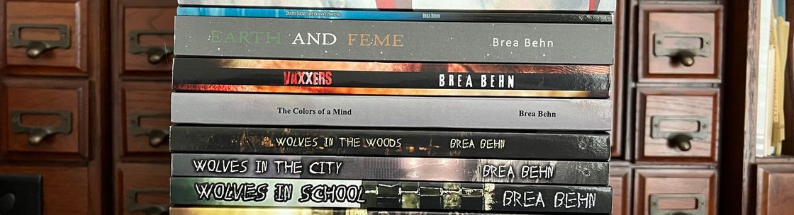 Brea’s Books, Madison WI