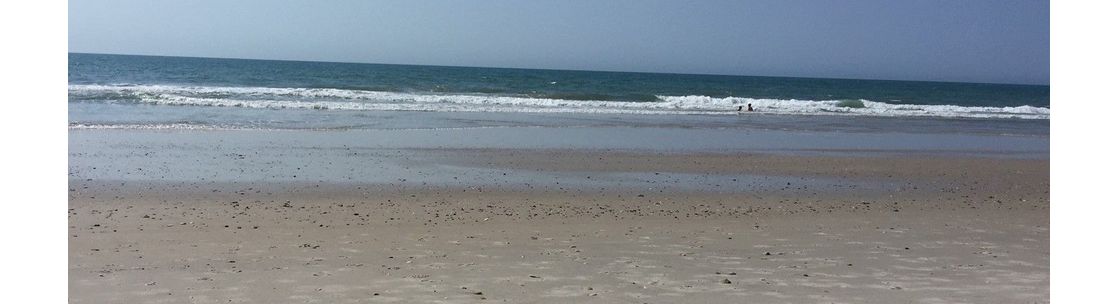 Pamela Alexander, Realtor CSSS, Jacksonville NC