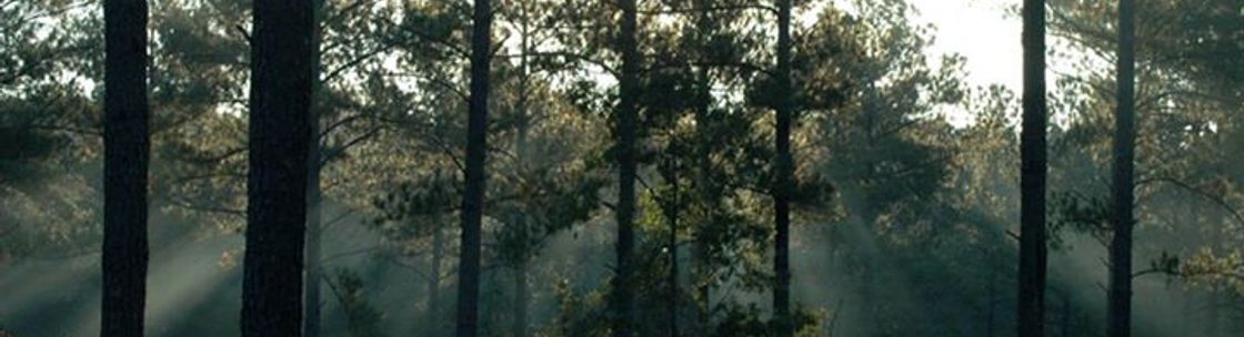 Evolution Counseling Inc., Naperville IL