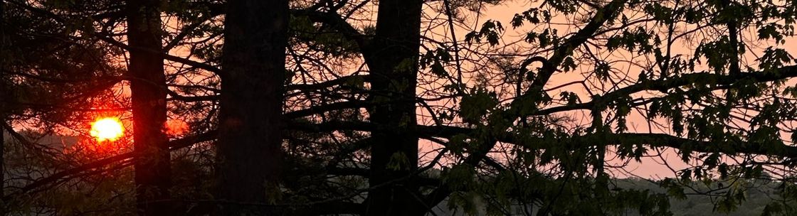 Drawmovement, Freeport ME