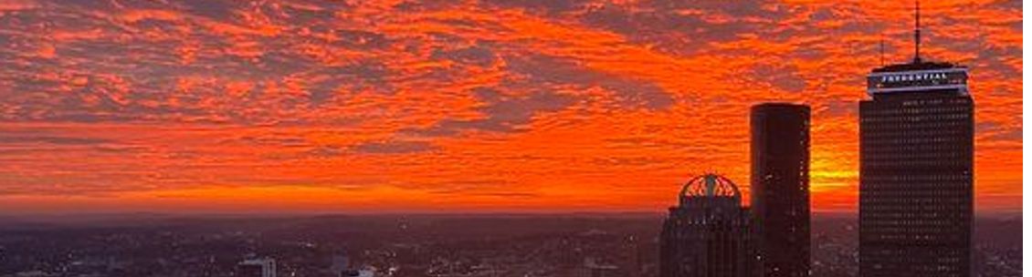 Rove Pest Control, Southborough MA