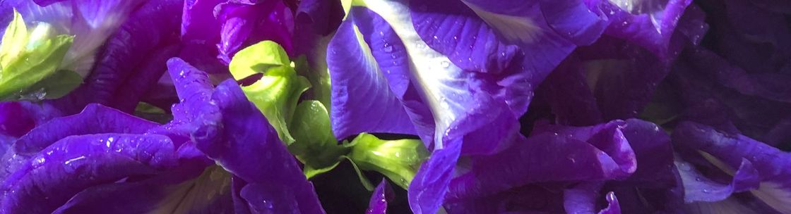 Freckled Heron Studios, Hendersonville NC