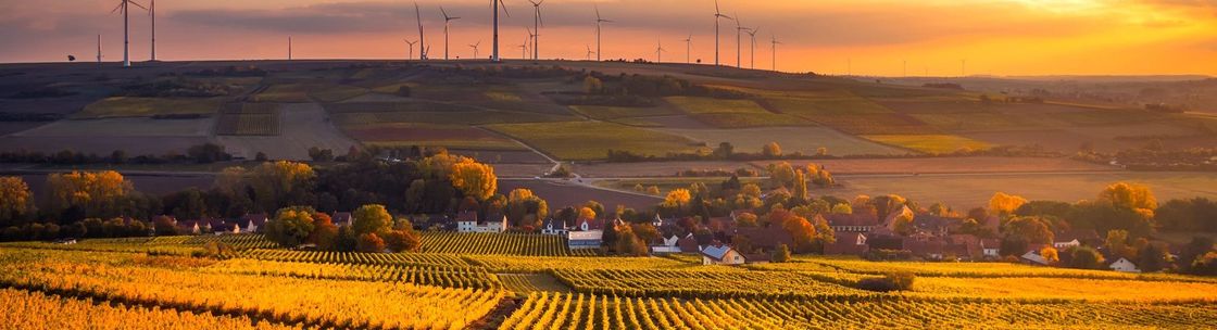 Agriculture & Industry, LLC., Columbia MO